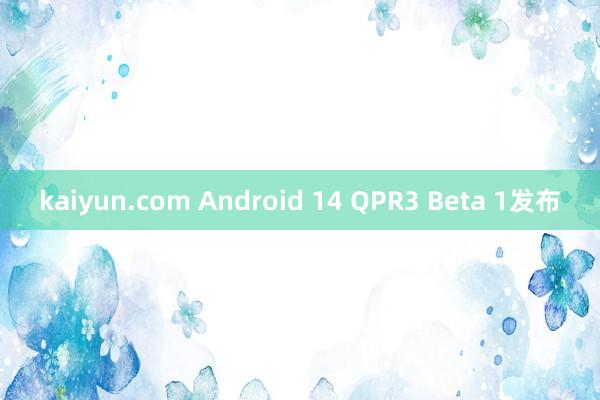 kaiyun.com Android 14 QPR3 Beta 1发布