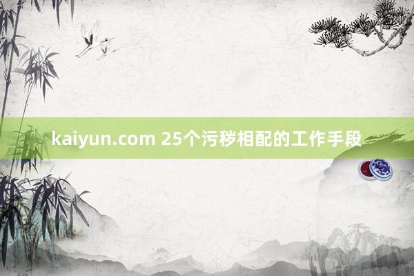 kaiyun.com 25个污秽相配的工作手段