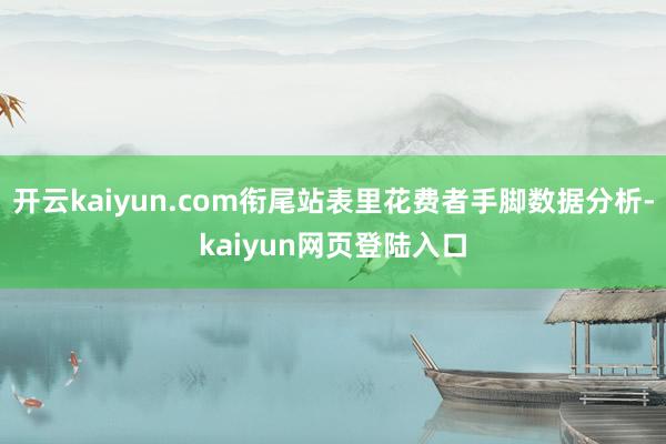 开云kaiyun.com衔尾站表里花费者手脚数据分析-kaiyun网页登陆入口