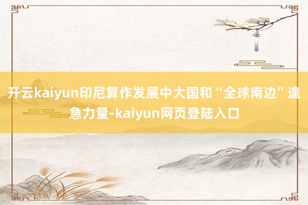 开云kaiyun印尼算作发展中大国和“全球南边”遑急力量-kaiyun网页登陆入口