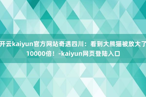 开云kaiyun官方网站奇遇四川：看到大熊猫被放大了10000倍！-kaiyun网页登陆入口