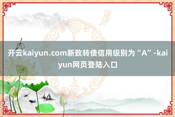 开云kaiyun.com新致转债信用级别为“A”-kaiyun网页登陆入口
